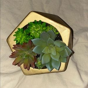 Fake succulent plant in gold decor
